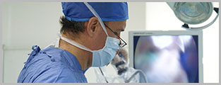 Cuadro Médico Urólogos Cuadro Médico Urólogos